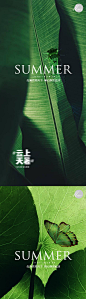 立夏夏至小暑大暑处暑系列海报-源文件