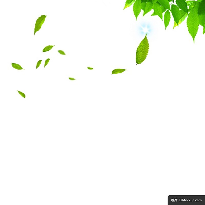 叶子模板免扣png