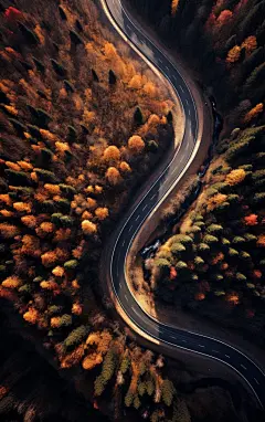 树木壁纸风景树木背景AI图