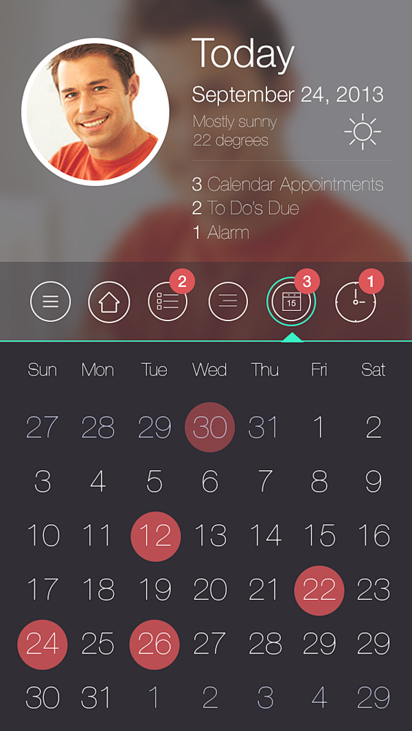 Organiser Calendar A...