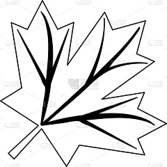 自然,叶子,符号,黑白图片,生物学,清新,环境,想法,户外,树