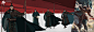 006ain9Wgy1hgnydw1803j37ps2qfhdy.jpg (10000×3543)