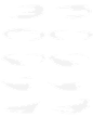 seq_529_scl 副本