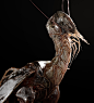 Bird shrimp 