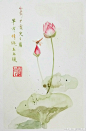 大常大常呼叫大常的照片 - 微相册