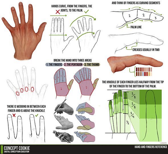 【教学贴整理向】手是怎么画出来的呢? |...