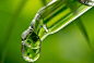 Top 5 Anti-Aging Ingredients