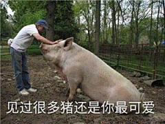 澈︶ㄣ落采集到表情包
