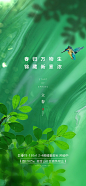 立春海报