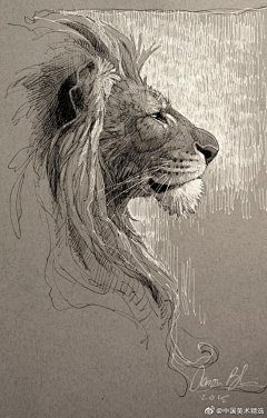 chongerfei采集到插画