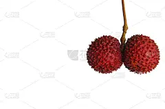 鲜红颜色荔枝。