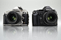尼康发布复古全画幅单反相机Df - 数码相机大全 相机资料库 镜头 相机图片 样张