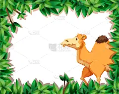 自然,骆驼,国境线,华丽的,请柬,图像,模板,艺术,设计,装饰