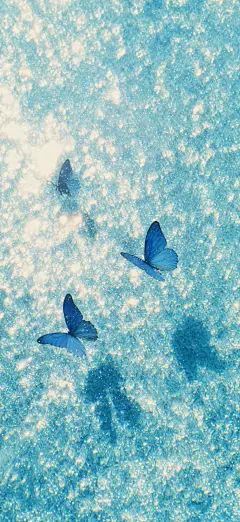 蓝调蝴蝶壁纸