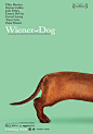 2016年 腊肠狗 Wiener-Dog