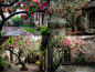 yoshikocanterbury_A_crabapple_tree_in_an_ancient_courtyard