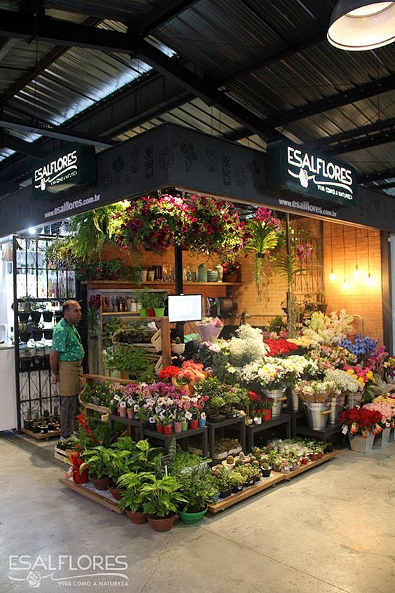Floricultura | Flowe...