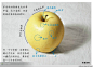 素描学习——苹果的画法 - hf35msb - 合肥三十五中美术班的博客