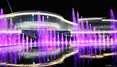紫盆花采集到音乐喷泉激光秀