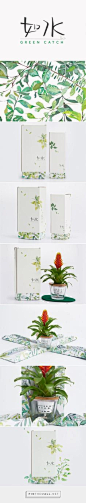 Green Catch plants packaging design by Box Brand Design (Hong Kong) - <a href="http://www.packagingoftheworld.com/2016/05/green-catch.html" rel="nofollow" target="_blank">www.packagingofth...</a>