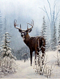 Leo Stans Winter Wonder- Deer: