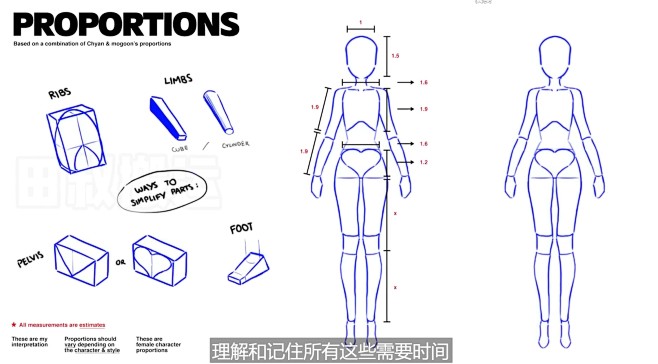 人体比例