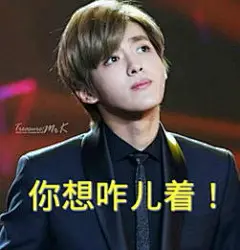 exo带字搞笑表情包-搜狗搜索
