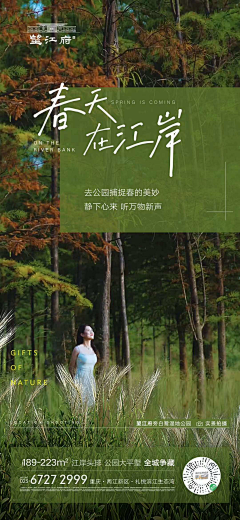 一起摸鱼去采集到春季推广