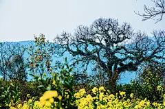 壁纸 桂林_图片大全_全景网