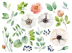 花插画素材_图片ID：132719035