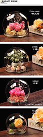 欧式创意透明球形玻璃景观罩装饰罩微景观花瓶永生花罩母亲节礼物-tmall.com天猫