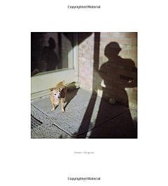 祈鲤采集到薇安·迈尔Vivian Maier 摄影集
