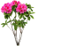 1 (9)