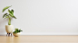 White wall empty room with plants on a floor,3d rendering