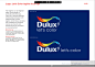 多乐士（Dulux）VI设计标准手册