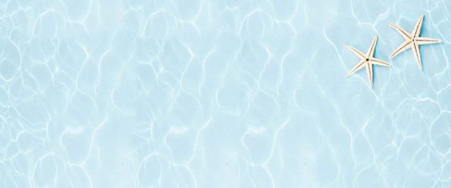 水底水影和水底海星—–背景图下载
点击图...