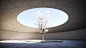 Architectural concrete textures