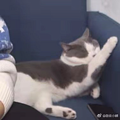 素小九采集到阿信