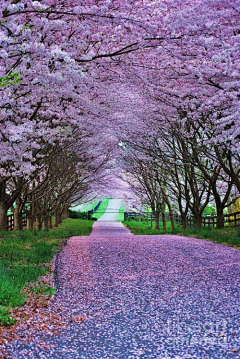 郭清伟采集到照片—公路背景