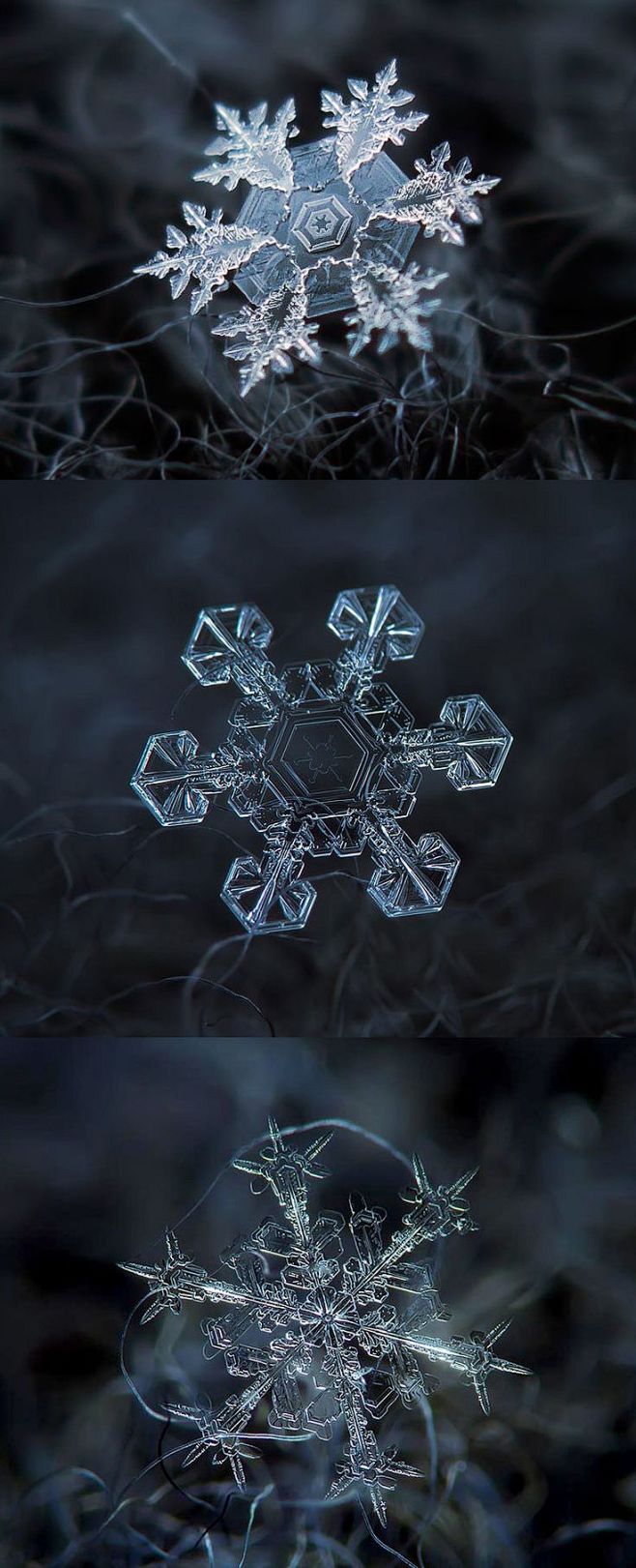 Macro images of snow...