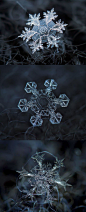 Macro images of snowflakes - DIY Technique: 