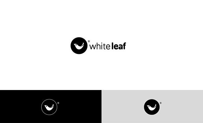 White Leaf Hygiene P...