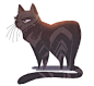 Daily Cat Drawings : Photo