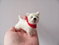 White terrier