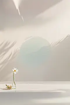 唯美背景 (191)