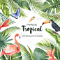 手绘水彩热带植物叶子火烈鸟请柬卡片背景PNG免抠设计素材