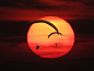性质, 太阳, 日落, 降落伞, 滑翔机, 滑翔伞, 飞, 心情, Abendstimmung, 落山的太阳