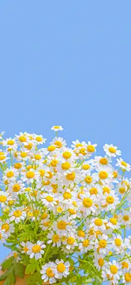 景色/美景/城市/街景