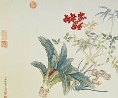 清 汪承霈 春祺集錦图.本幅集四时花卉于一卷合绘，包括李花、梅花、水仙、月季、玫瑰、紫藤、绣球、萱花、鸢尾、兰、牡丹、辛夷 、百合花、海棠、茉莉、莲荷、菊、天竺、茶花、桂花、石竹、西蕃莲、牵牛花等，凡四十馀种。画法细緻写实，赋彩豔而不俗，洋溢着富丽与清新的视觉美感。#水墨书画##水墨界# ​​​​