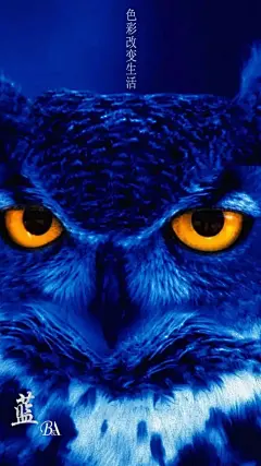 新年手机壁纸，感受色彩冲击，给你时尚文艺范儿